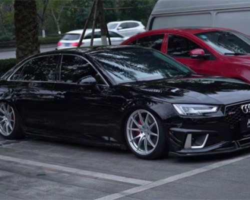 Audi A4 cambergang low lying case appreciation