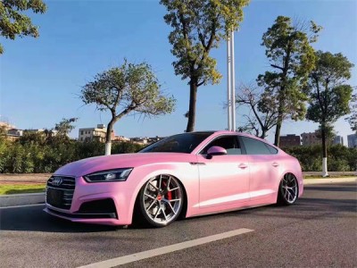 Pink temptation Audi A5 cambergang posture charm