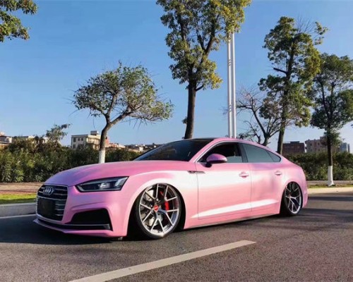 Pink temptation Audi A5 cambergang posture charm