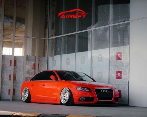 Camber Gang: Elevating the Audi A4 into a Modified Masterpiece