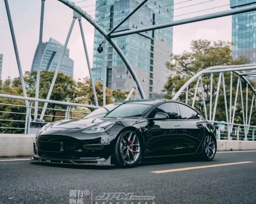 Unique Personalization: Tesla Model 3 and Camber Gang