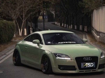 Cambergang-Inspired Transformation of the Audi TT