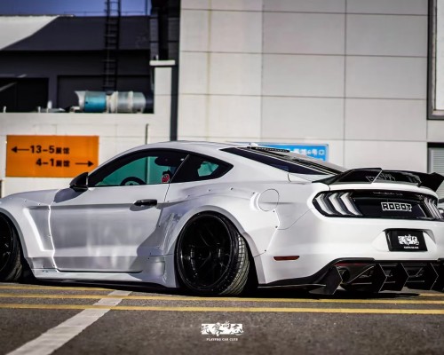 Embracing the Camber Culture: The Ford Mustang  Cambergang