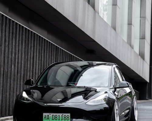 Unleashing the Beast: The Tesla Model 3 Cambergang Transformation